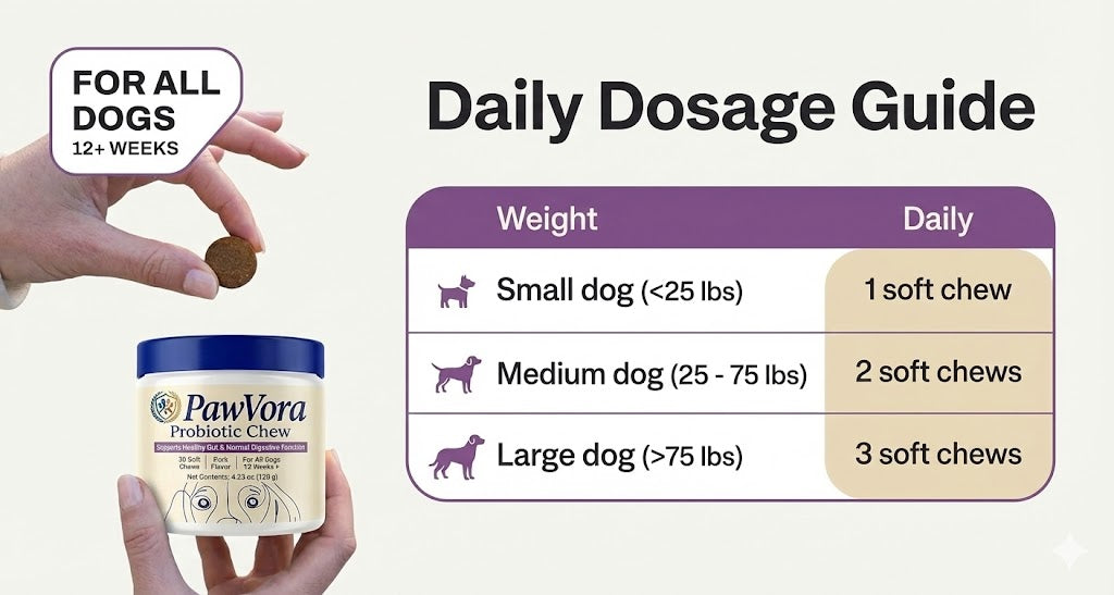 Probiotics for dogs – soft chews for gut & digestive health