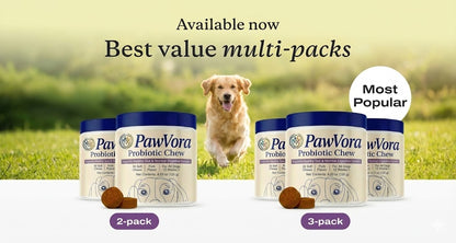 Probiotics for dogs – soft chews for gut & digestive health